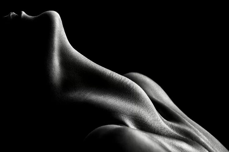 Figurative Body Parts III by Johan Swanepoel wall art