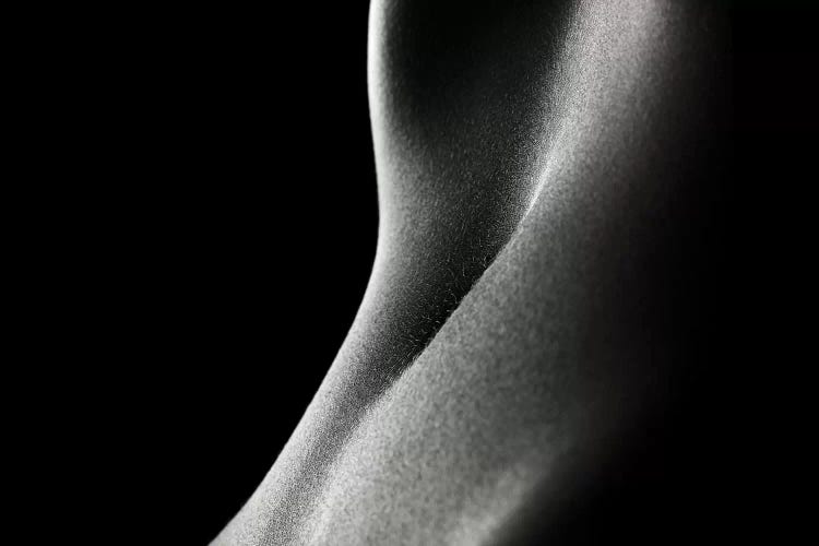 Bodyscape Woman's Stomach  II by Johan Swanepoel wall art