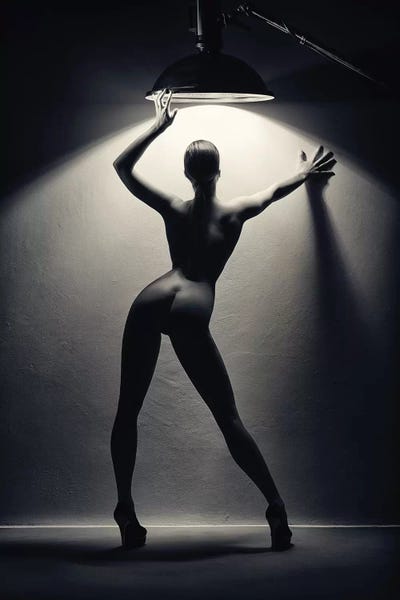 In The Shadows: Woman In The Spotlight II by Johan Swanepoel