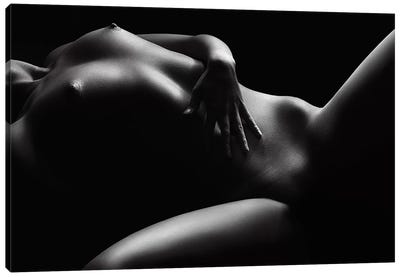 Nude Woman Bodyscape 46 Canvas Art Print - Johan Swanepoel