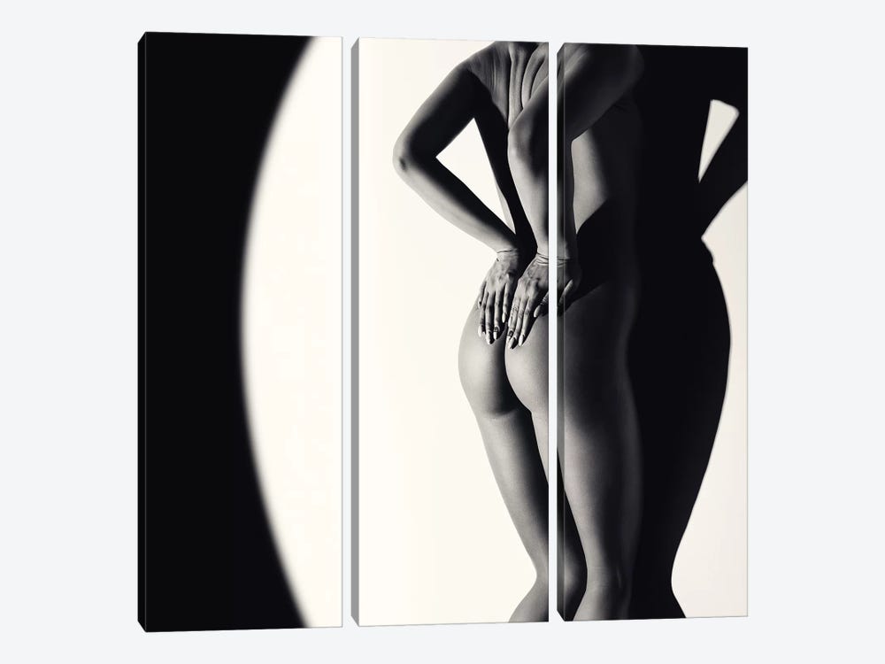 Nude Woman Against Wall by Johan Swanepoel 3-piece Canvas Art