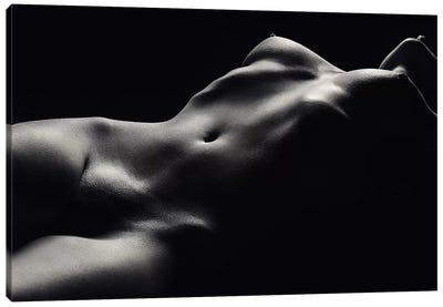 Nude Woman Bodyscape 47 Canvas Art Print - Johan Swanepoel