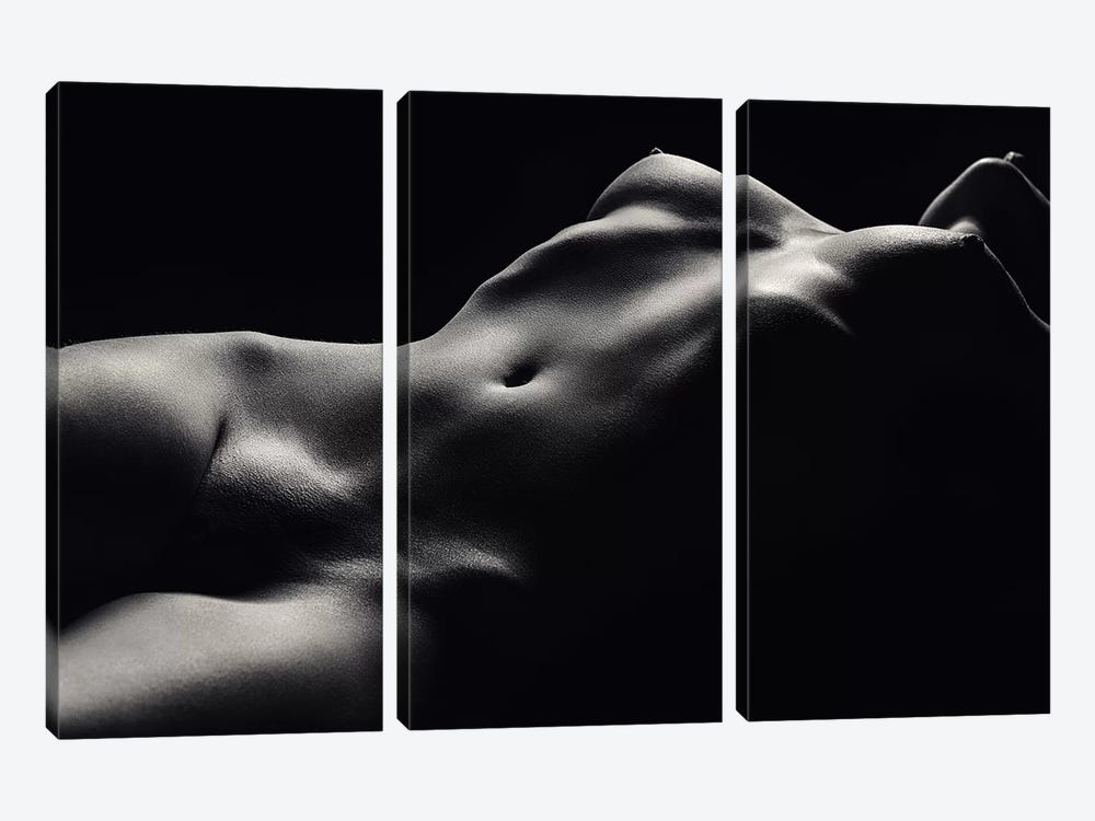 Nude Woman Bodyscape 47 by Johan Swanepoel 3-piece Canvas Wall Art