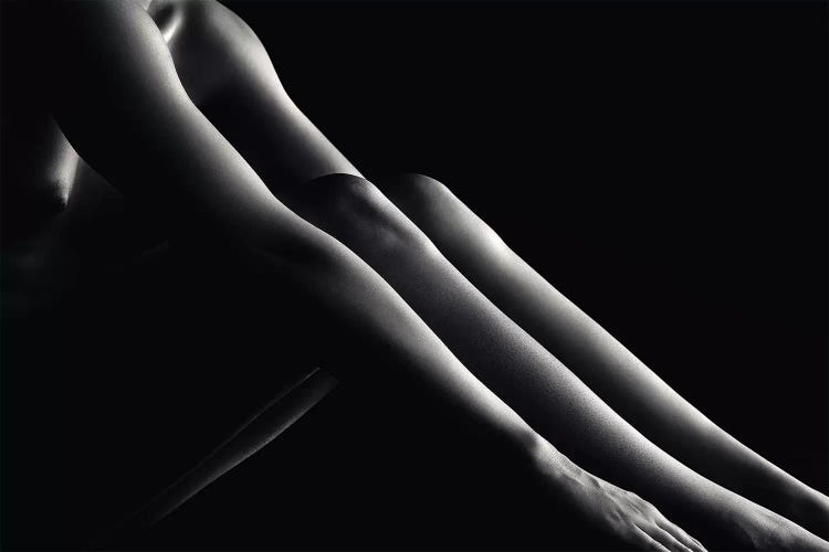 Nude Woman Bodyscape 48 by Johan Swanepoel wall art