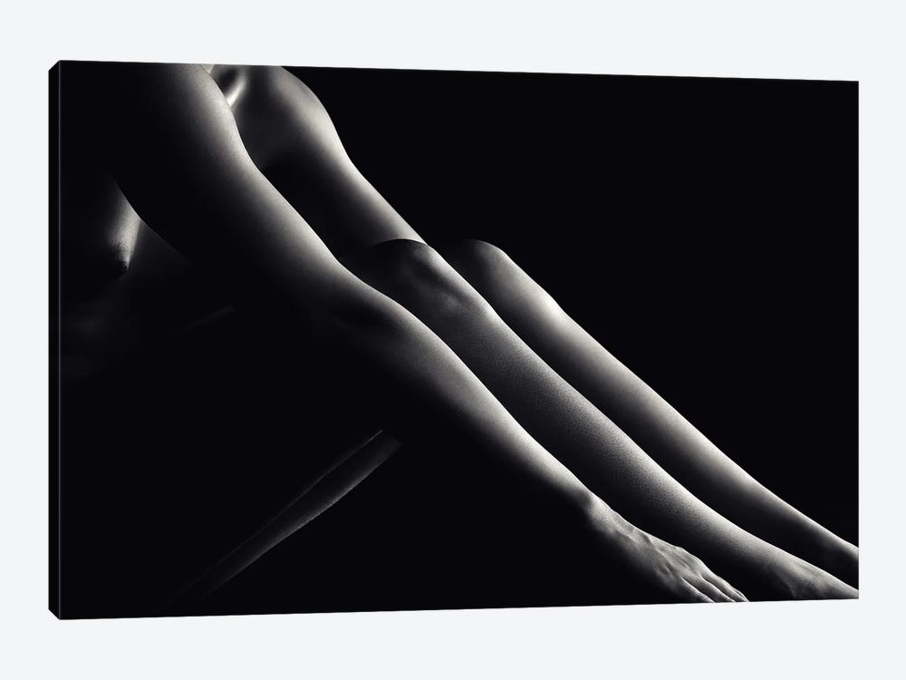 Nude Woman Bodyscape 48 by Johan Swanepoel 1-piece Canvas Artwork