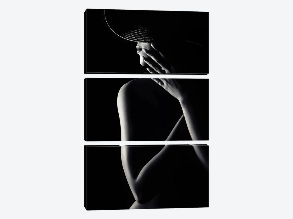 Nude Woman With Black Hat 3 by Johan Swanepoel 3-piece Canvas Art Print