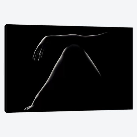 Nude Woman Bodyscape 51 Canvas Print #JSW133} by Johan Swanepoel Art Print