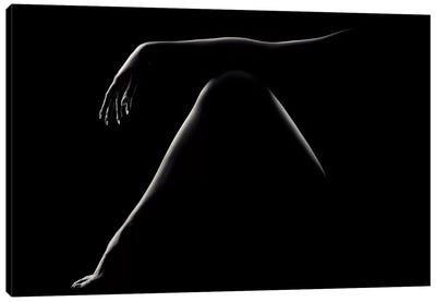Nude Woman Bodyscape 51 Canvas Art Print - Johan Swanepoel