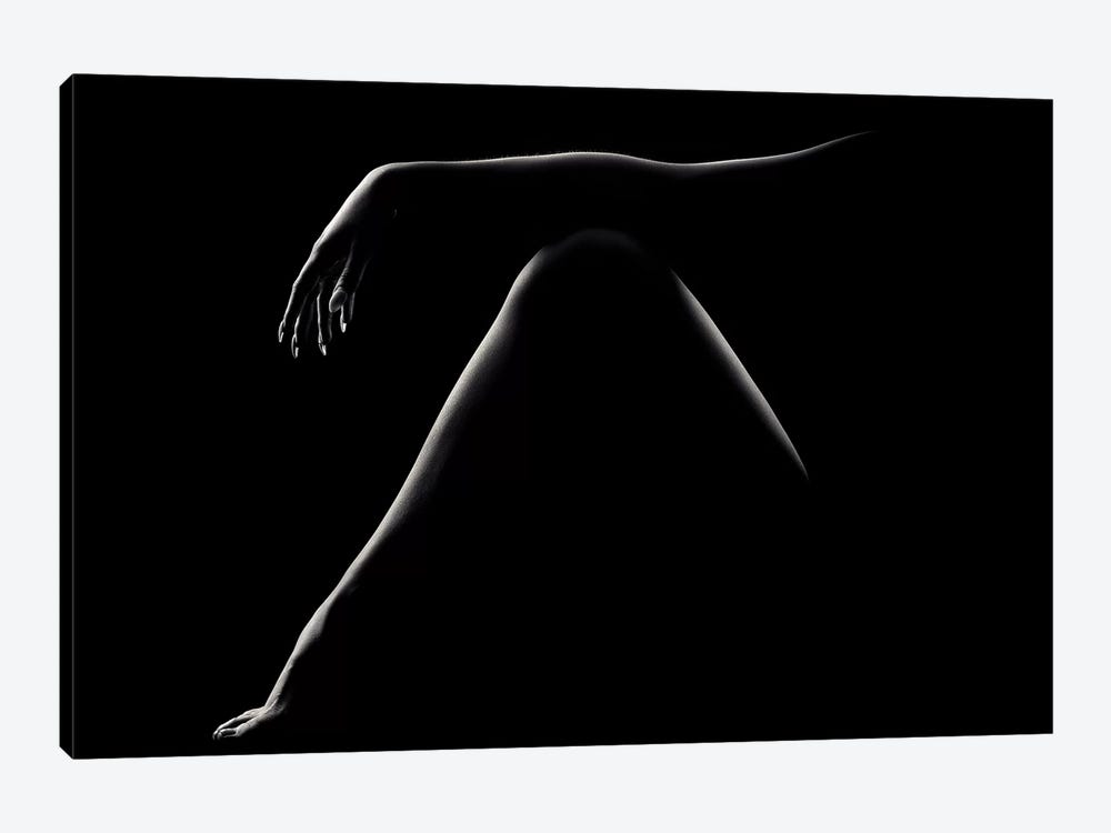 Nude Woman Bodyscape 51 by Johan Swanepoel 1-piece Art Print