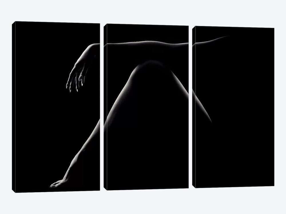 Nude Woman Bodyscape 51 by Johan Swanepoel 3-piece Canvas Art Print