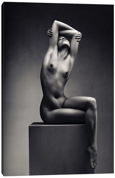 Nude Woman Fine Art 7 Canvas Art Print - Johan Swanepoel