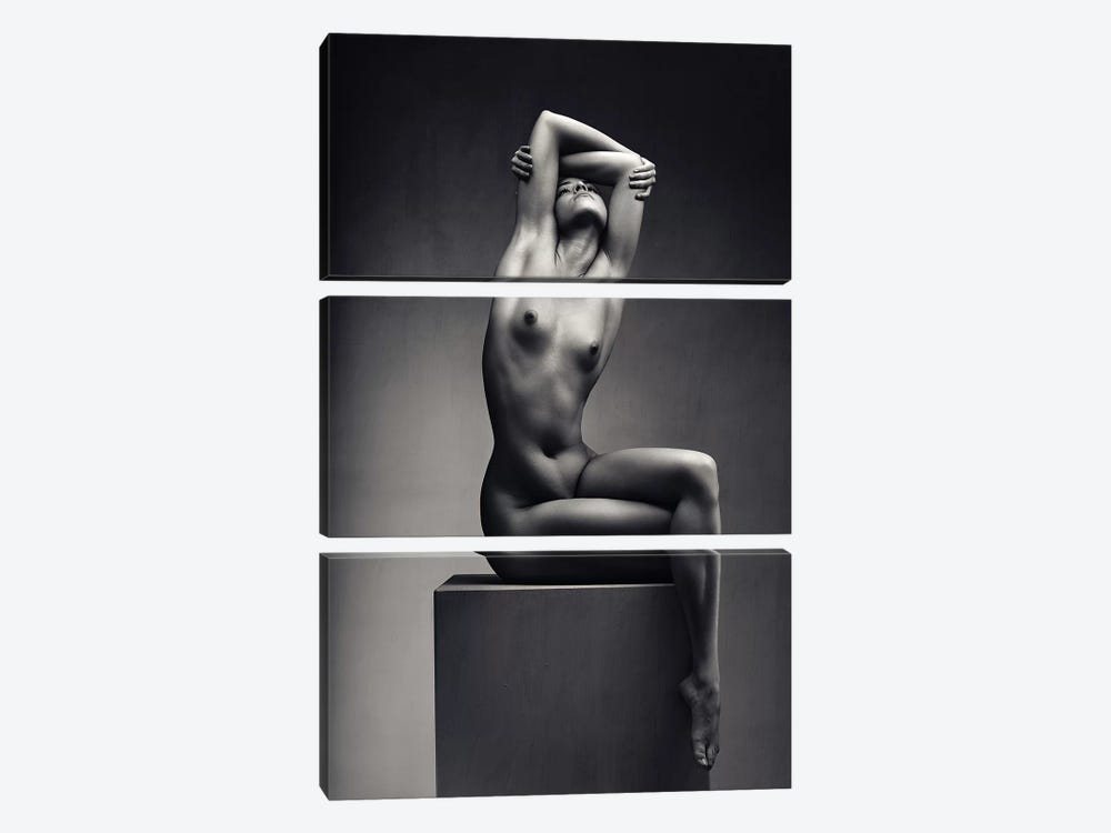 Nude Woman Fine Art 7 by Johan Swanepoel 3-piece Canvas Print