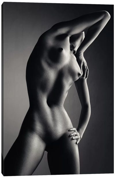 Nude Woman Fine Art 9 Canvas Art Print - Johan Swanepoel