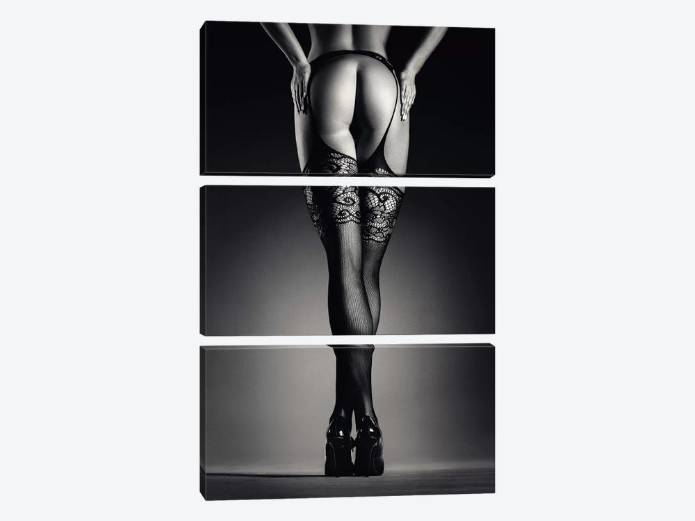 Sensual Legs In Stockings by Johan Swanepoel 3-piece Canvas Art
