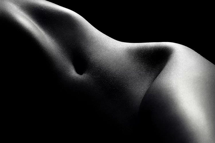 Nude Woman Bodyscape 52 by Johan Swanepoel wall art