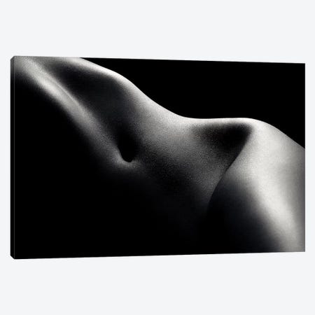 Nude Woman Bodyscape 52 Canvas Print #JSW139} by Johan Swanepoel Art Print