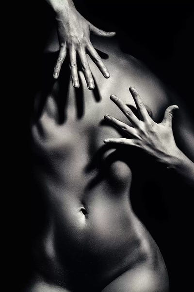 Nude Woman Fine Art X by Johan Swanepoel multi panel art