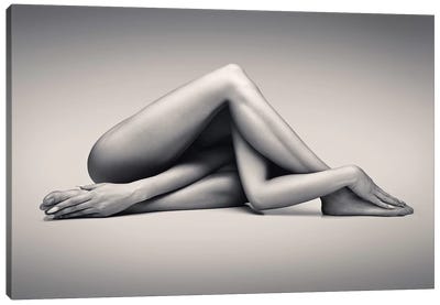 Nude Woman Fine Art 13 Canvas Art Print - Johan Swanepoel