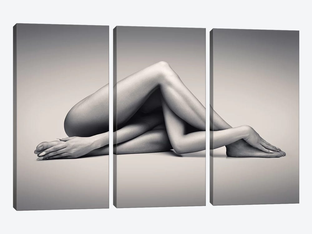 Nude Woman Fine Art 13 by Johan Swanepoel 3-piece Canvas Artwork