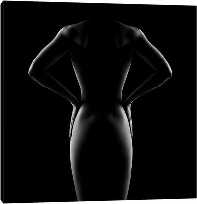 Nude Woman Bodyscape 53 Canvas Art Print - Johan Swanepoel
