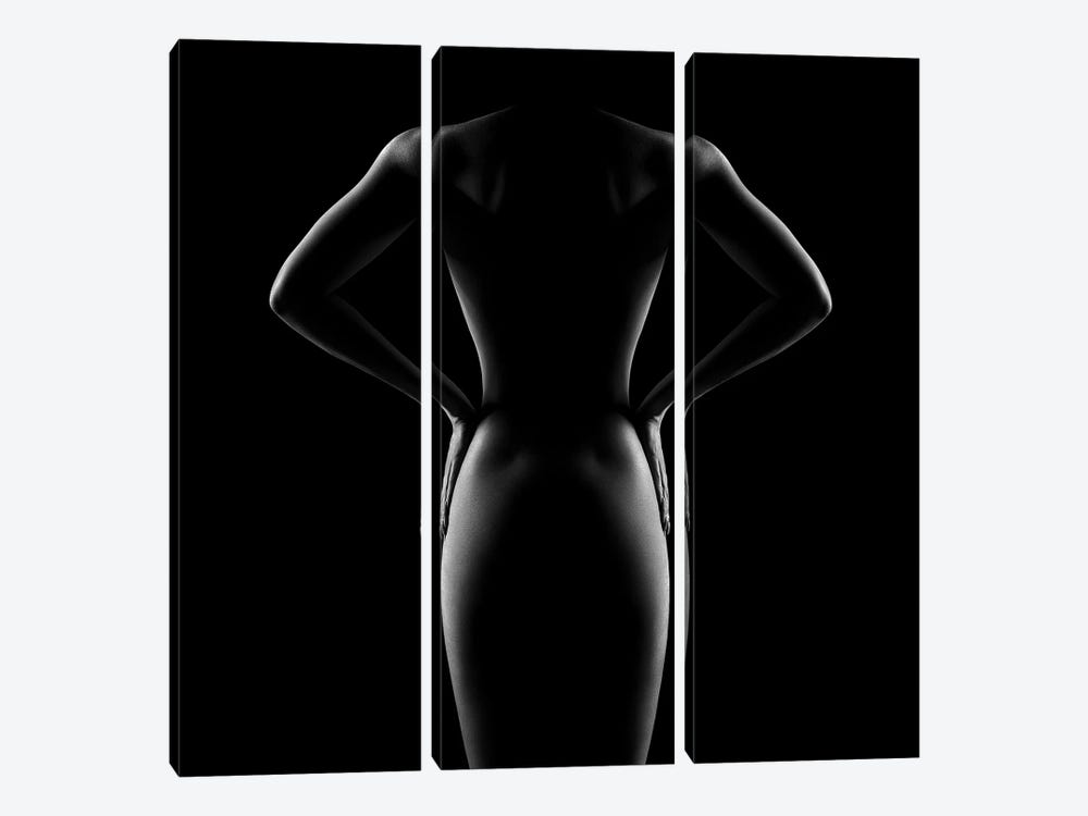 Nude Woman Bodyscape 53 by Johan Swanepoel 3-piece Art Print