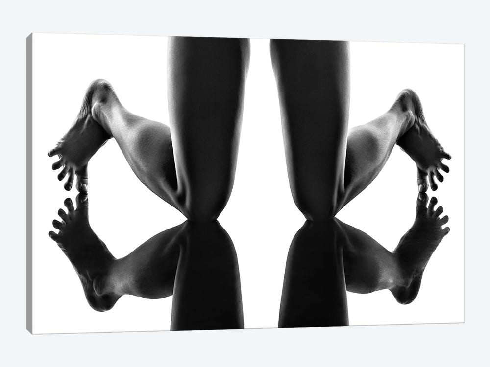 Legs And Feet Reflections by Johan Swanepoel 1-piece Canvas Artwork