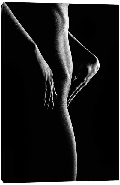 Nude Woman Bodyscape 55 Canvas Art Print - Figurative Photography