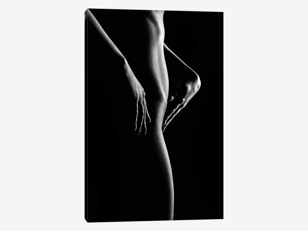Nude Woman Bodyscape 55 by Johan Swanepoel 1-piece Canvas Print