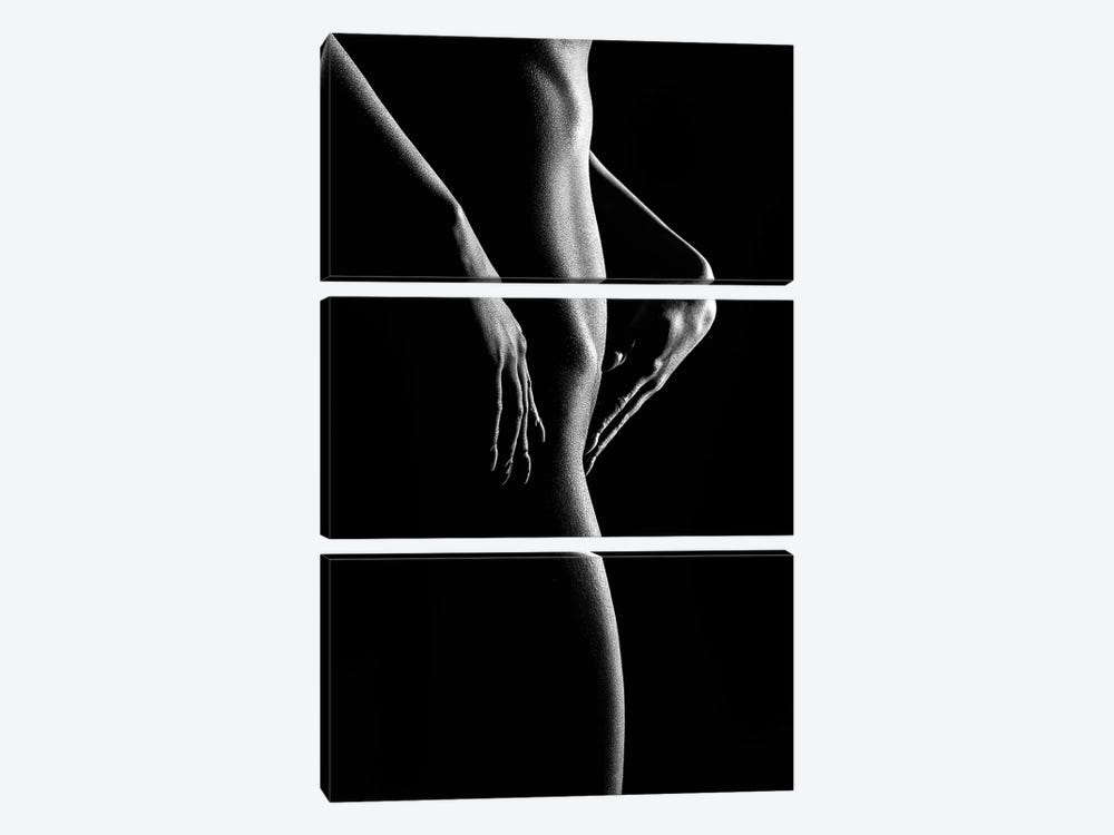 Nude Woman Bodyscape 55 by Johan Swanepoel 3-piece Art Print