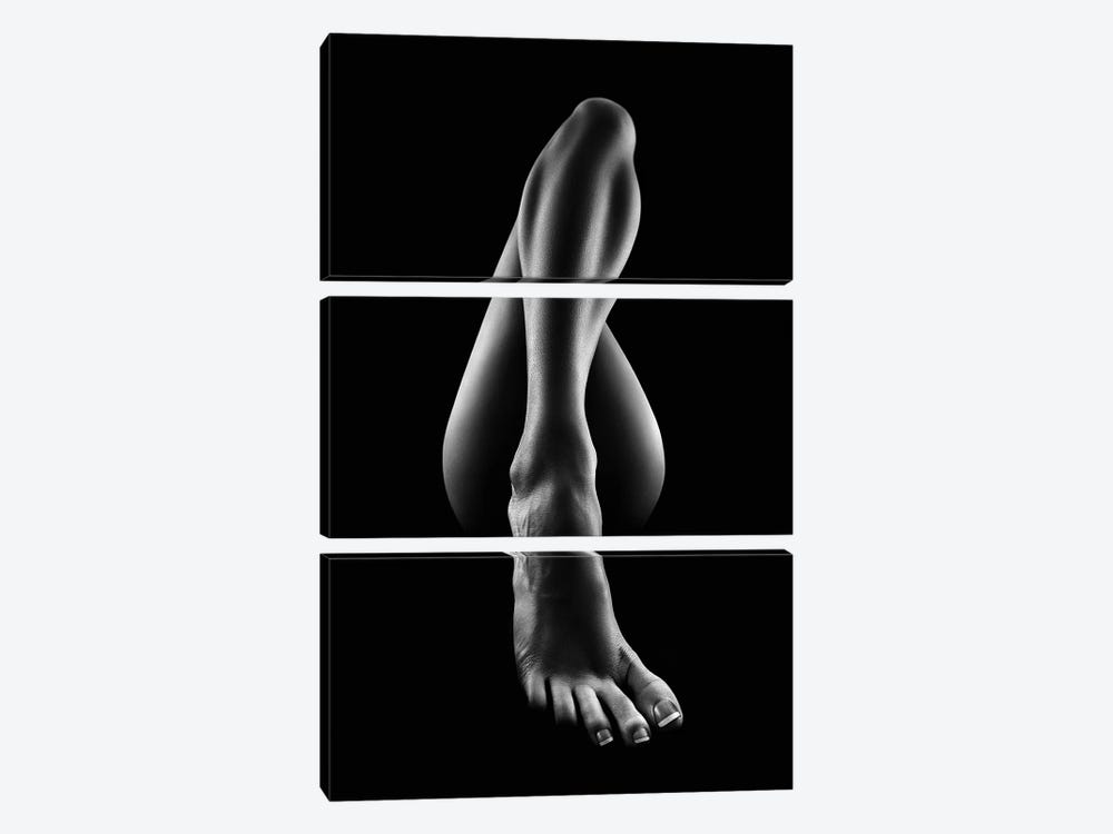 Nude woman bodyscape 56 by Johan Swanepoel 3-piece Canvas Art Print
