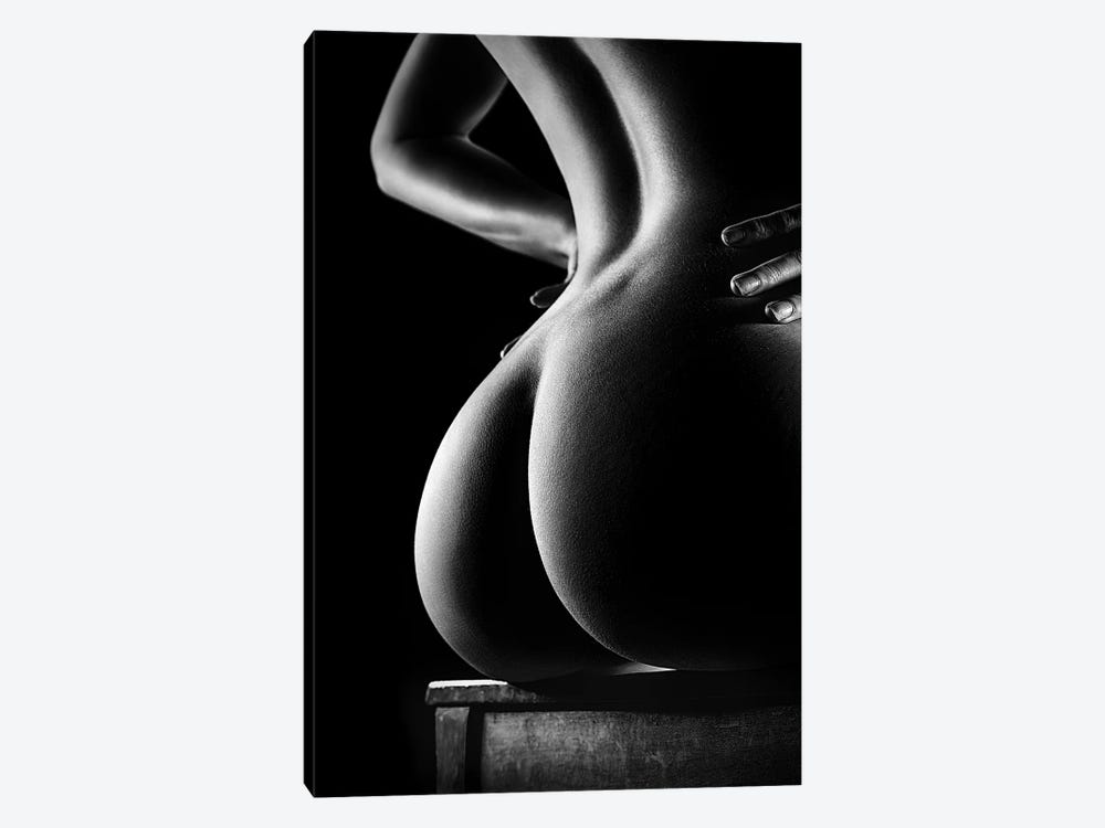 Nude Buttocks On Chair by Johan Swanepoel 1-piece Canvas Wall Art