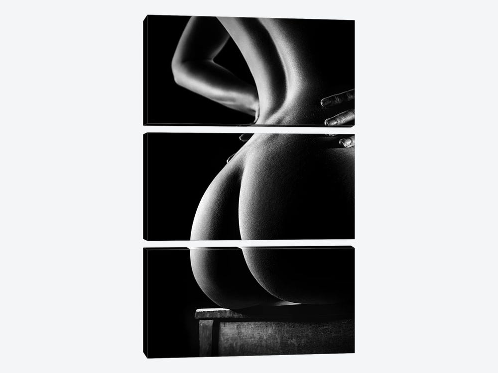 Nude Buttocks On Chair by Johan Swanepoel 3-piece Canvas Wall Art