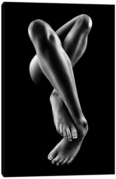 Nude Woman Bodyscape 57 Canvas Art Print - Johan Swanepoel