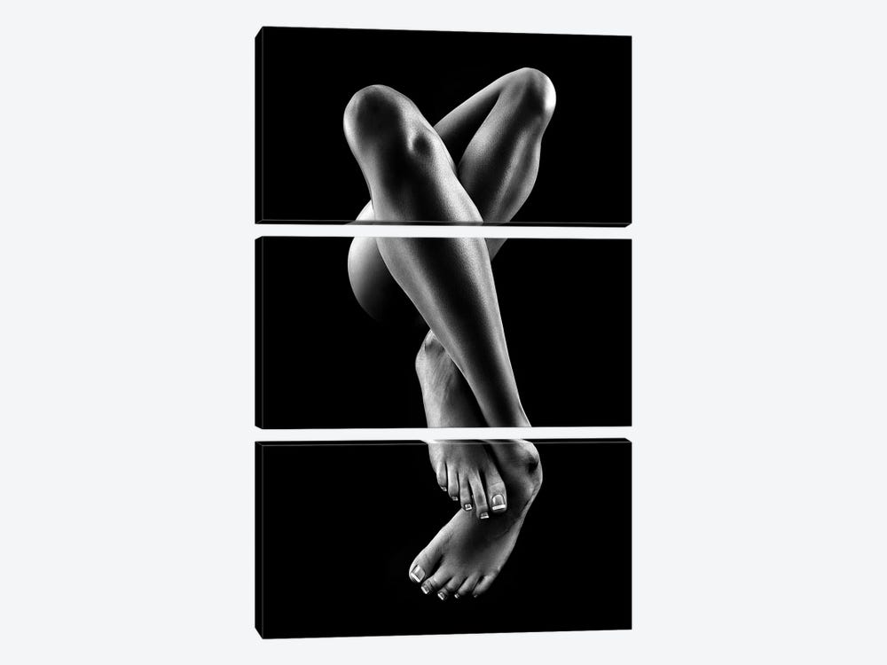 Nude Woman Bodyscape 57 by Johan Swanepoel 3-piece Canvas Print