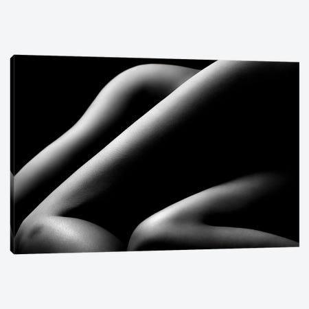 Nude Woman Bodyscape 58 Canvas Print #JSW160} by Johan Swanepoel Canvas Art