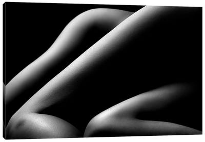 Nude Woman Bodyscape 58 Canvas Art Print - Gray Art