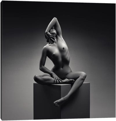 Nude Woman Fine Art XVIII Canvas Art Print - Johan Swanepoel