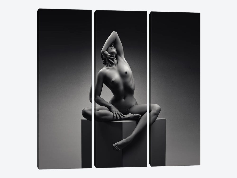 Nude Woman Fine Art XVIII by Johan Swanepoel 3-piece Art Print