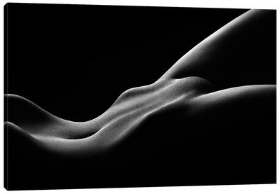 Nude Woman Bodyscape 59 Canvas Art Print - Gray Art