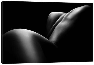 Nude Woman Bodyscape 61 Canvas Art Print - Johan Swanepoel