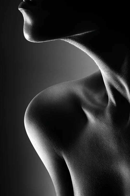 Nude Woman Fine Art 19 by Johan Swanepoel wall art