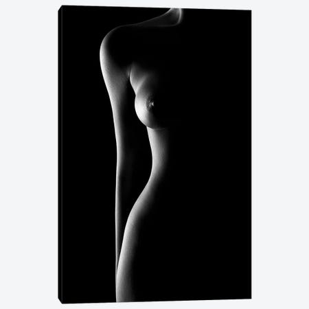 Nude woman bodyscape 62 Canvas Print #JSW167} by Johan Swanepoel Canvas Print