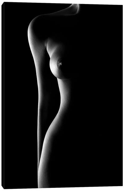 Nude woman bodyscape 62 Canvas Art Print - Johan Swanepoel