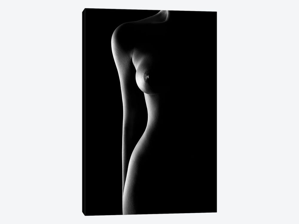 Nude woman bodyscape 62 by Johan Swanepoel 1-piece Canvas Art