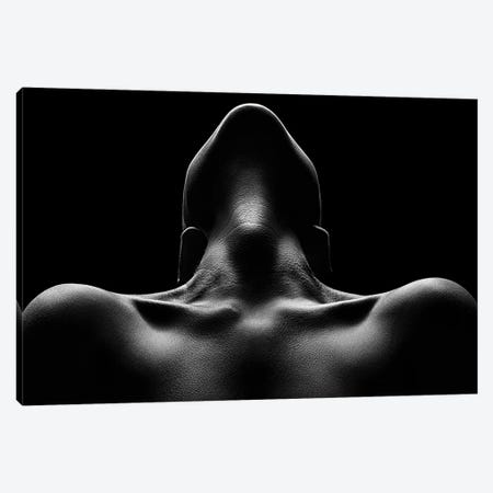 Nude woman bodyscape 63 Canvas Print #JSW168} by Johan Swanepoel Canvas Artwork