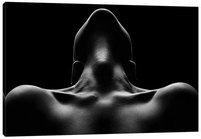 Nude woman bodyscape 63 Canvas Art Print - Johan Swanepoel