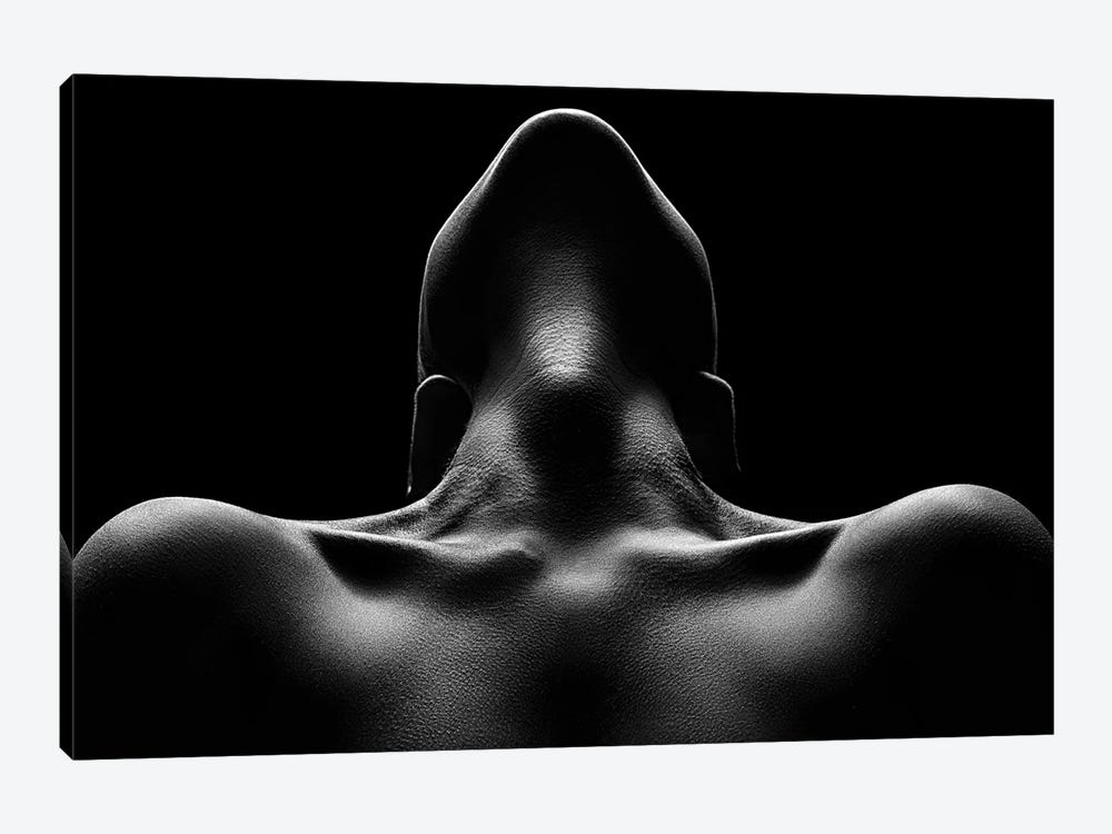 Nude woman bodyscape 63 by Johan Swanepoel 1-piece Canvas Art Print