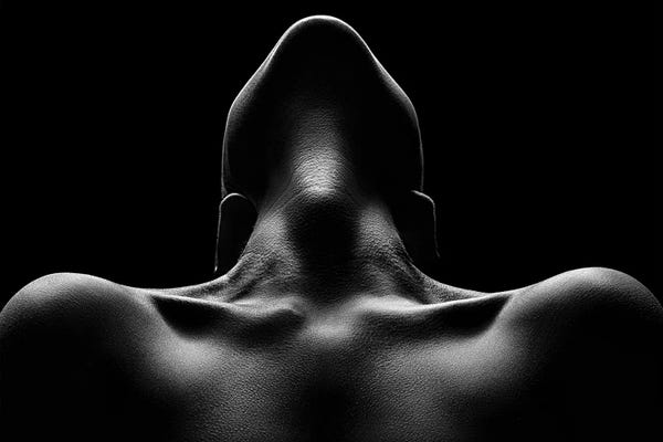 Nude woman bodyscape 63