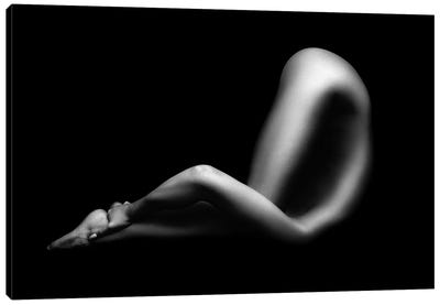 Nude Woman Bodyscape 64 Canvas Art Print - Johan Swanepoel