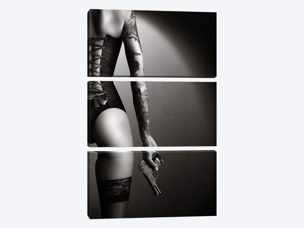 Woman in lingerie with handgun by Johan Swanepoel 3-piece Canvas Artwork